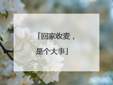 回家收麦，是个大事